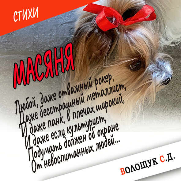 Стихи-Масяня-картинка.jpg