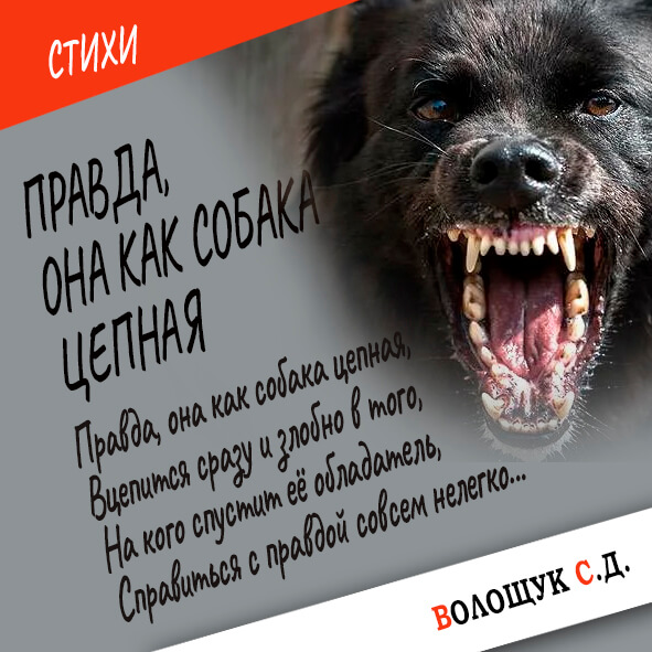 Правда, она как собака цепная-картинка.jpg