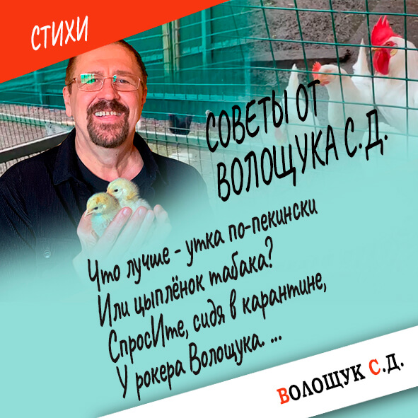 Советы от Волощука-картинка.jpg