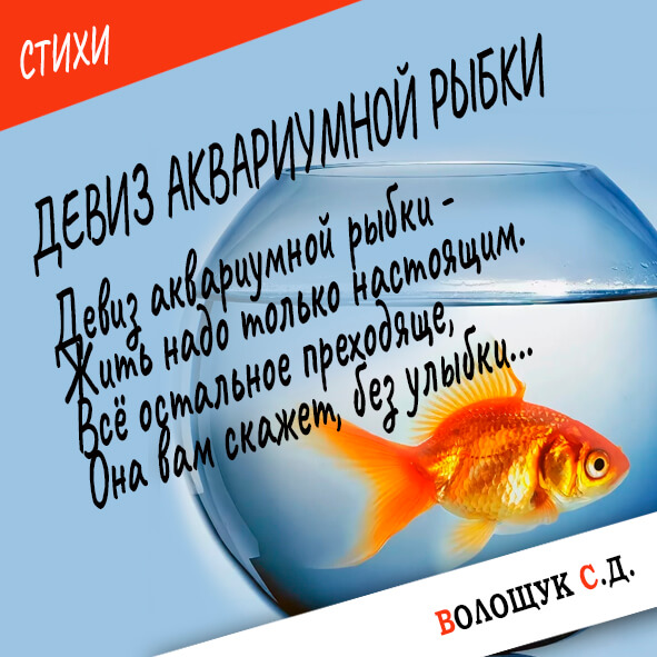 ¥¢¨§ %A0ª¢%A0à¨ã¬­®© àë¡ª¨-ª%A0àâ¨­ª%A0.jpg