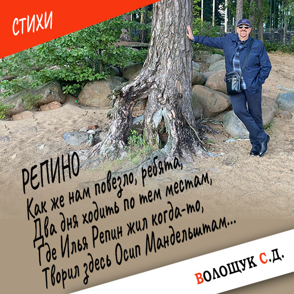 Репино-картинка.jpg