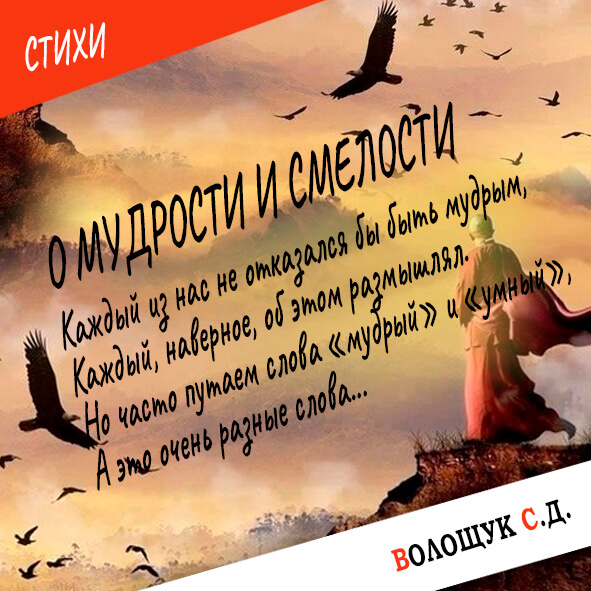 О мудрости и смелости - картинка.jpg