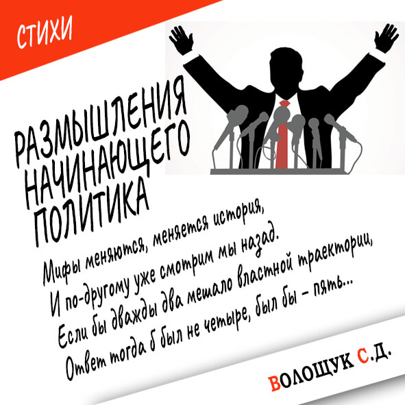 Размышления начинающего политика - картинка.jpg