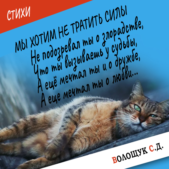 Мы хотим не тратить силы-стих.jpg