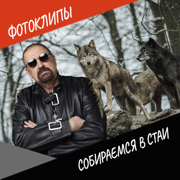 «Собираемся в стаи» #фотоклипы